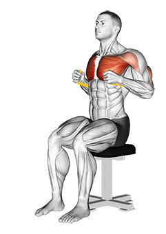 Resistance Band Seated Chest Press exercise demonstration