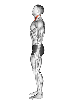 Chin Tuck exercise demonstration for Neck, Body weight