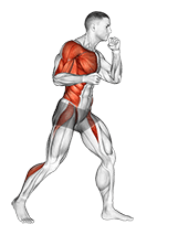 Right Hook. Boxing exercise demonstration for Plyometrics, Body weight