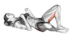 Bodyweight Frog Pump exercise demonstration for Hips, Body weight