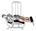 Lever Lying Two-One Leg Curl exercise demonstration