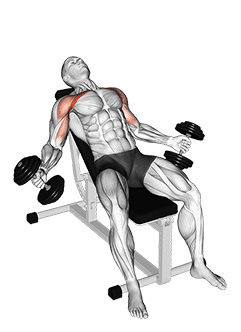 Hyght Dumbbell Fly exercise demonstration