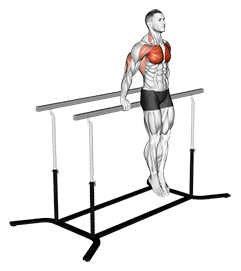 Korean dips exercise demonstration for Chest, Body weight