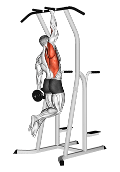 Weighted One Hand Pull up exercise demonstration