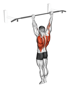 Archer Pull up exercise demonstration