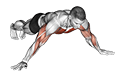 Archer Push up exercise demonstration