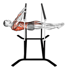 Front Lever Reps exercise demonstration for Back, and Waist, Body weight