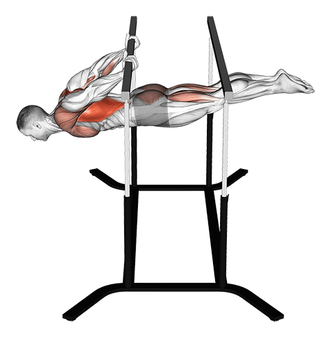Back lever exercise demonstration for Back, Body weight