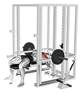 Barbell Weighted Bench Press exercise demonstration for Chest, Barbell