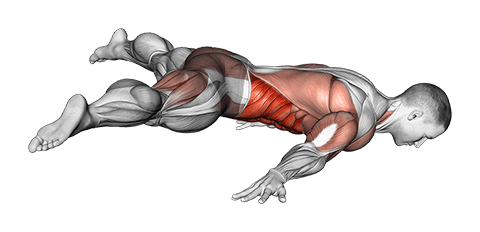 Straddle Maltese exercise demonstration for Waist, Body weight