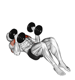 Dumbbell Lying on Floor Hammer Press exercise demonstration for Chest, Dumbbell