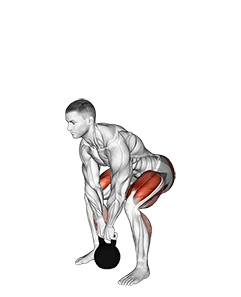 Kettlebell deadlift exercise demonstration for Quadriceps, and Thighs, Kettlebell