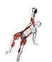Kettlebell Half Turkish Get Up exercise demonstration