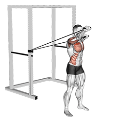 Band Alternate Incline Chest Press with Twist exercise demonstration