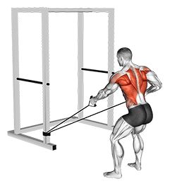 Band Alternate Low Row wtih Twist exercise demonstration for Back, Band