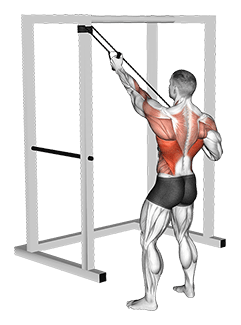 Band Alternate Lat Pulldown with Twist exercise demonstration for Back, Band