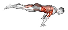 Full Planche Push-Up exercise demonstration for Upper Arms, Body weight