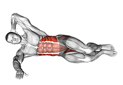 Oblique Crunches with Bent Knee Leg Lift exercise demonstration for Waist, Body weight