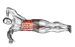 Oblique Crunches with Straight Leg Lift exercise demonstration for Waist, Body weight