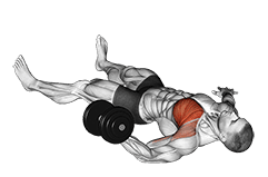 Dumbbell One Arm Floor Fly exercise demonstration
