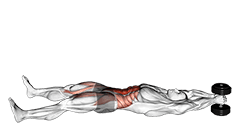 Dumbbell V-up exercise demonstration for Waist, Dumbbell