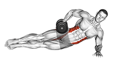 Dumbbell Side Bridge exercise demonstration