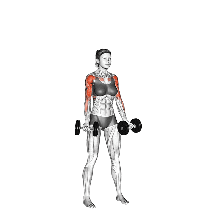 Dumbbell Curl to Press exercise demonstration for Shoulders, Dumbbell
