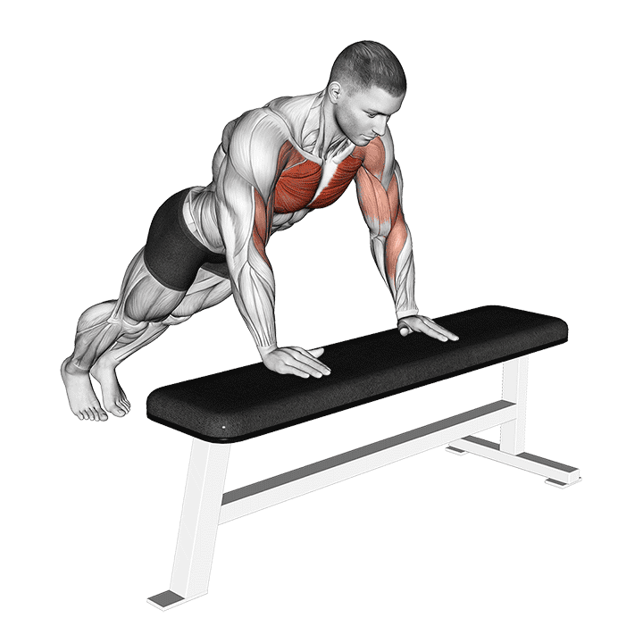 Incline Shoulder Tap exercise demonstration for Chest, Body weight
