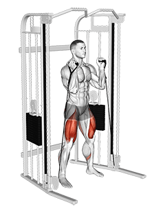 Cable Front Squat exercise demonstration for Quadriceps, and Thighs, Cable