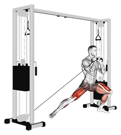 Cable Lateral Lunge exercise demonstration for Quadriceps, and Thighs, Cable