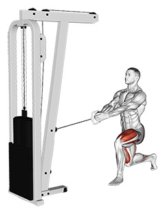 Cable Lunge exercise demonstration