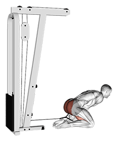 Cable Kneeling Pull Through exercise demonstration