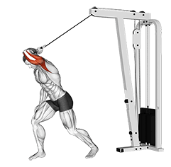 Cable One Arm High Pulley Overhead Tricep Extension exercise demonstration