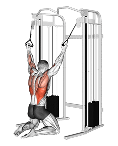 Cable Parallel Grip Lat Pulldown on Floor exercise demonstration for Back, Cable