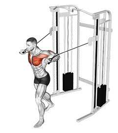 Cable Standing Chest Press exercise demonstration