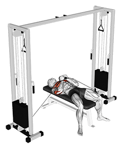 Cable Lying Close Press exercise demonstration for Triceps, and Upper Arms, Cable