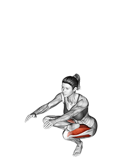 Aerial Squat exercise demonstration