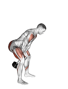 Dumbbell Swing exercise demonstration