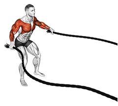 Battling Ropes Fly exercise demonstration for Chest, and Shoulders, Battling Rope