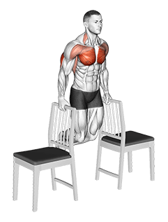 Dips between Chairs exercise demonstration