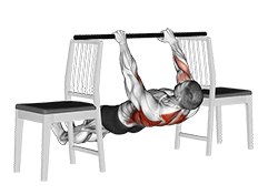 Inverted Row between Chairs exercise demonstration