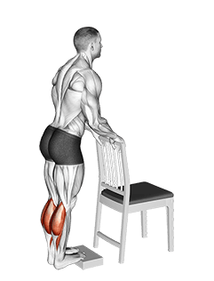 Calf Raise from Deficit with Chair Supported exercise demonstration for Calves, Body weight