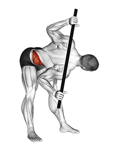 Bent Over Twist exercise demonstration for Waist, Body weight