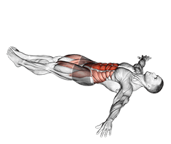 Lying Leg Hip Raise on Floor exercise demonstration for Waist, Body weight