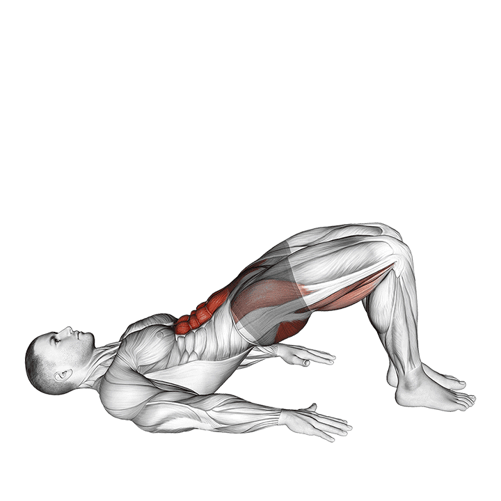 Glute March exercise demonstration for Hips, Body weight