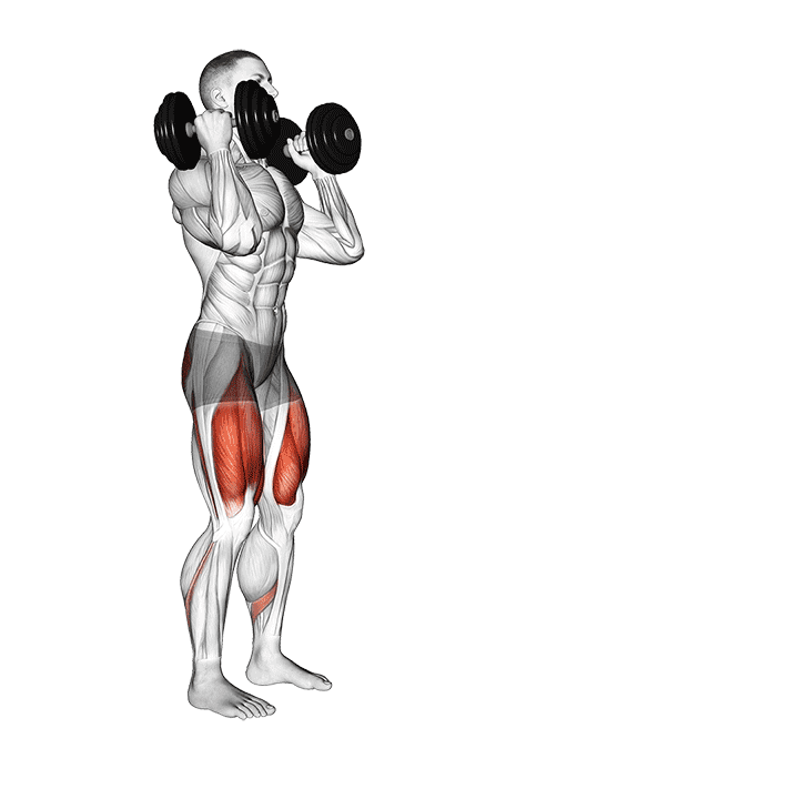 Dumbbell Front Rack Lunge exercise demonstration for Quadriceps, and Thighs, Dumbbell
