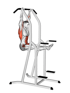 L-Pull-up exercise demonstration for Back, and Waist, Body weight