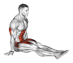 L-Sit on Floor exercise demonstration for Upper Arms, Body weight