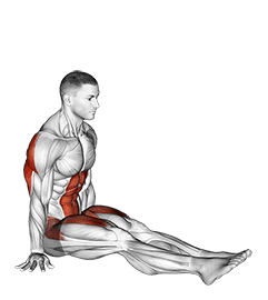 V-Sit on Floor exercise demonstration for Upper Arms, Body weight