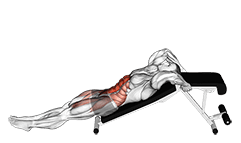 Decline Leg Hip Raise exercise demonstration for Hips, and Waist, Body weight